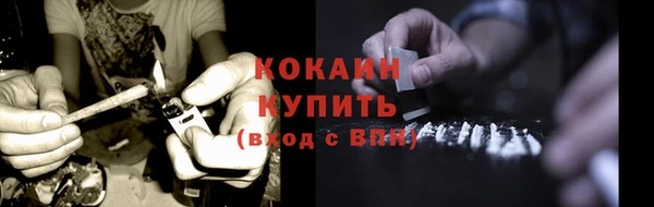 не бодяженный Заводоуковск