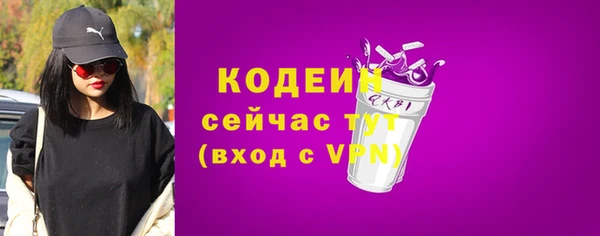 не бодяженный Заводоуковск
