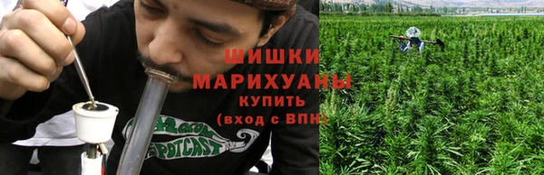 не бодяженный Заводоуковск
