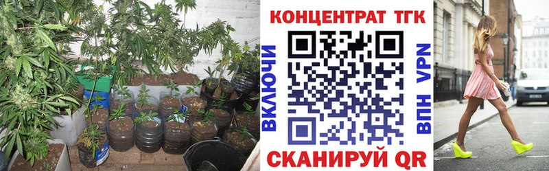 Дистиллят ТГК концентрат  Купить где  Верхний Тагил 