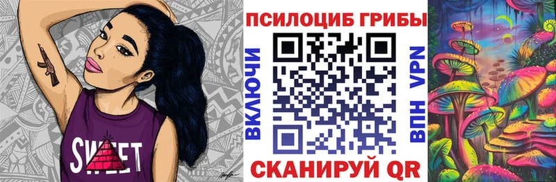Купить  Верхний Тагил  Псилоцибиновые грибы MAGIC MUSHROOMS 